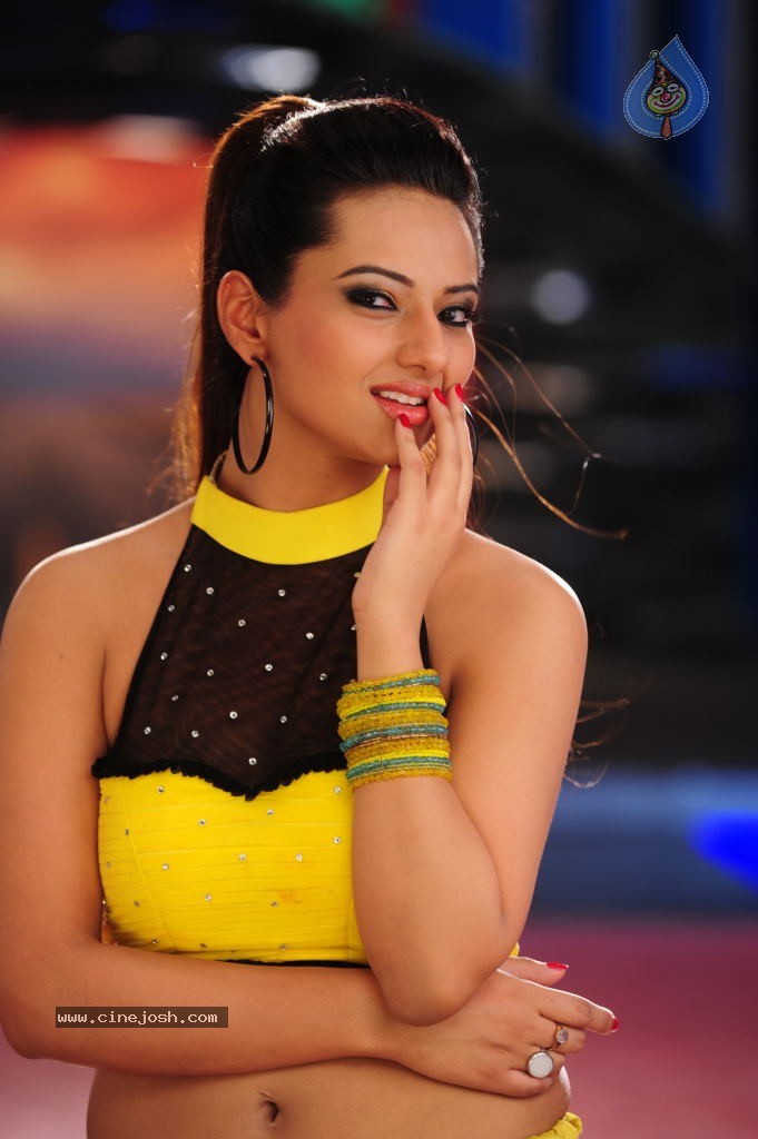 Isha Chawla Pics - 16 / 24 photos