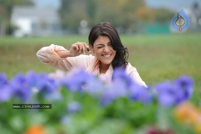 Kajal Agarwal - Darling - 14 / 43 photos