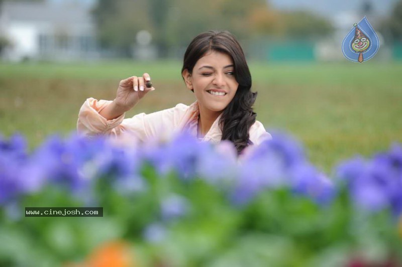 Kajal Agarwal - Darling - 34 / 43 photos