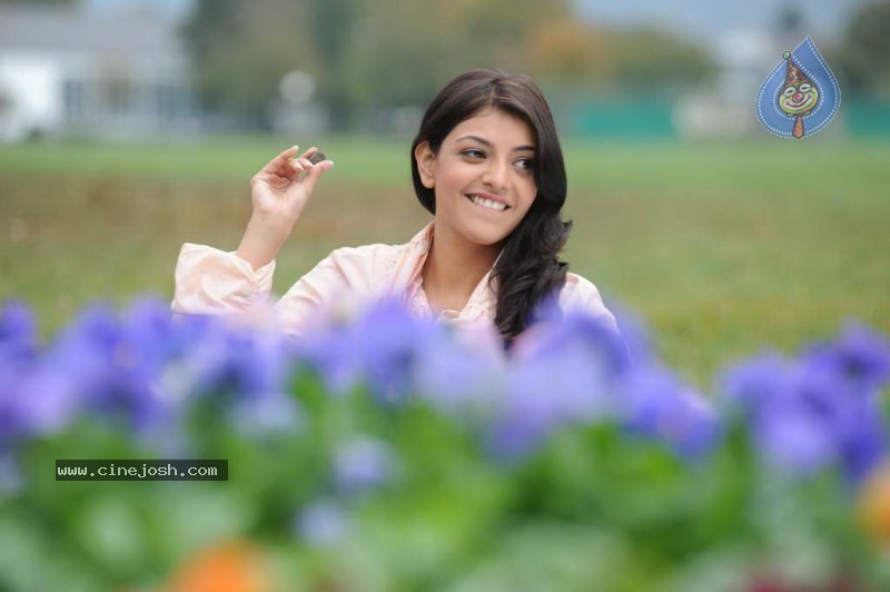 Kajal Agarwal - Darling - 42 / 43 photos