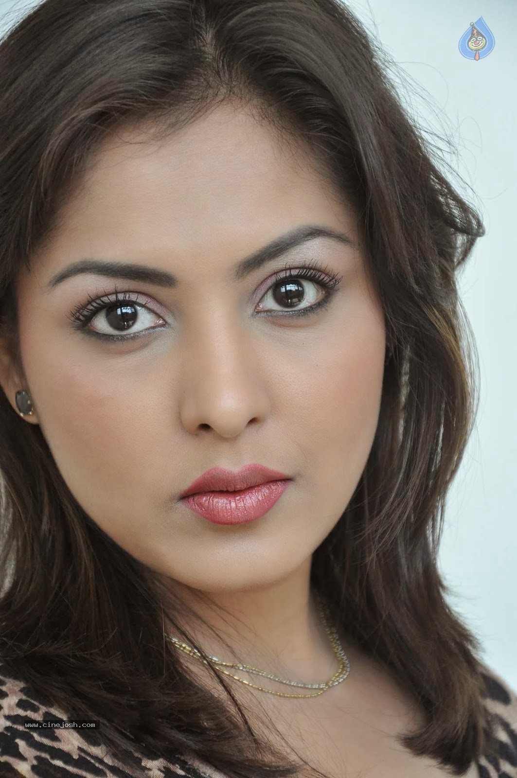 Madhu Shalini Stills - 73 / 96 photos