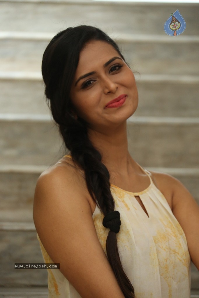 Meenakshi Dixit Gallery - 61 / 77 photos