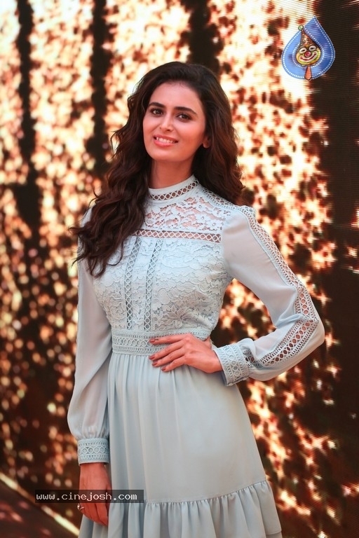 Meenakshi Dixit Photos - 14 / 28 photos