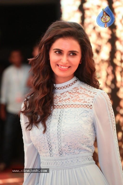 Meenakshi Dixit Photos - 15 / 28 photos