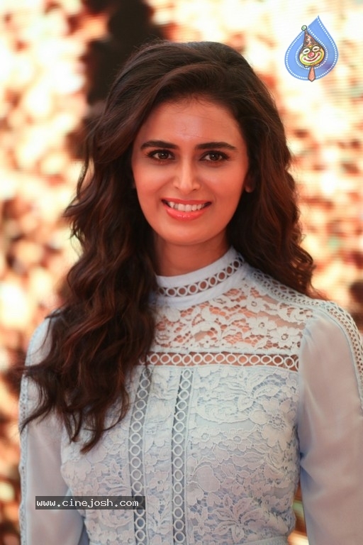 Meenakshi Dixit Photos - 20 / 28 photos