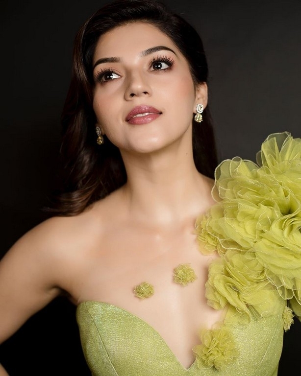 Mehreen Pirzada Photos - 9 / 9 photos