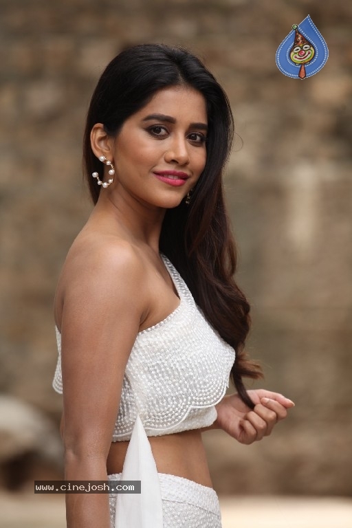 Nabha Natesh Gallery - 6 / 21 photos