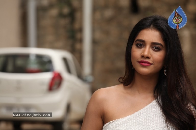 Nabha Natesh Gallery - 14 / 21 photos