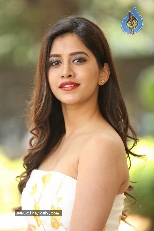 Nabha Natesh Images - 14 / 41 photos