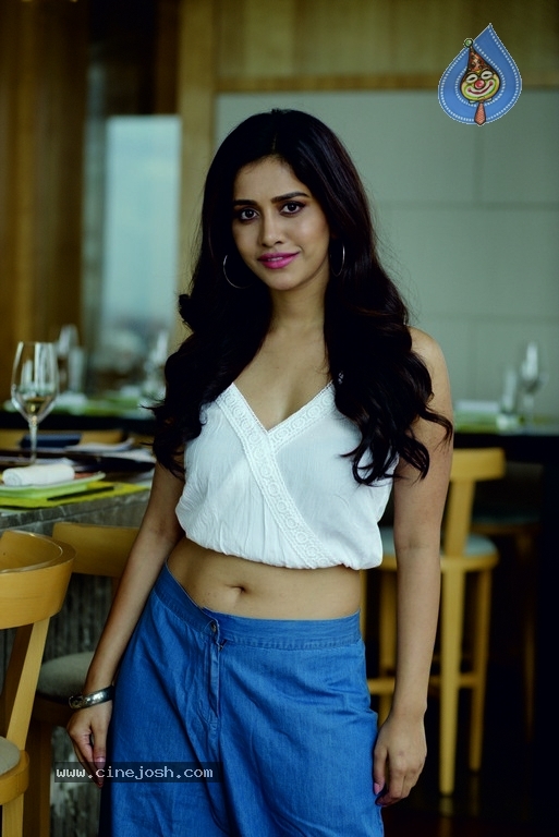 Nabha Natesh Photoshoot - 2 / 4 photos