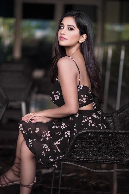 Nabha Natesh Stills - 5 / 5 photos