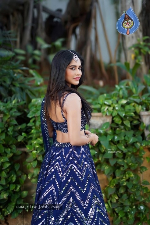 Nabha Natesh stills - 5 / 5 photos