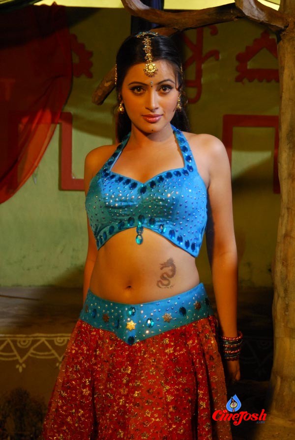 Navneet Kaur Spicy Gallery - 40 / 77 photos