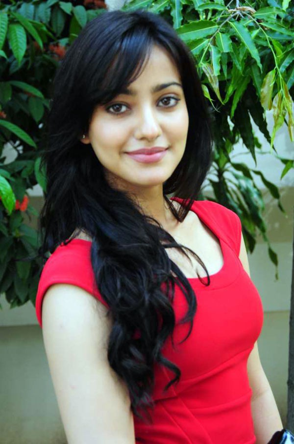 Neha Sharma - 57 / 58 photos