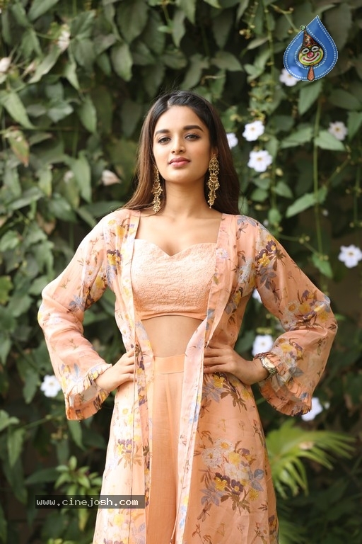 Nidhhi Agerwal Photos - 27 / 31 photos