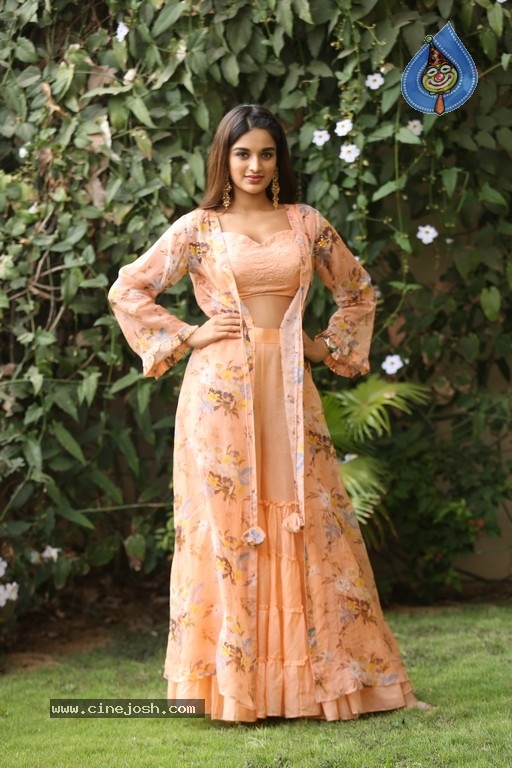 Nidhhi Agerwal Photos - 28 / 31 photos