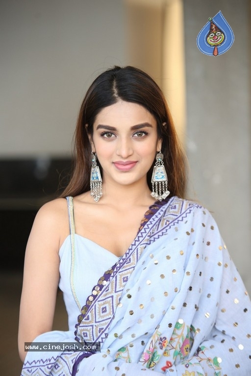 Nidhhi Agerwal Photos - 8 / 21 photos