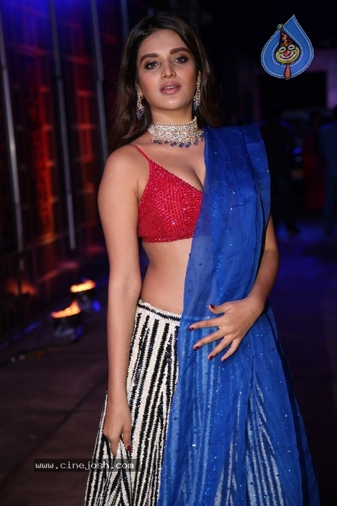 Nidhhi Agerwal Stills - 32 / 33 photos