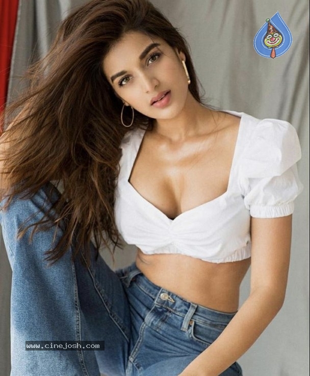 Nidhhi Agerwal Stills - 4 / 12 photos