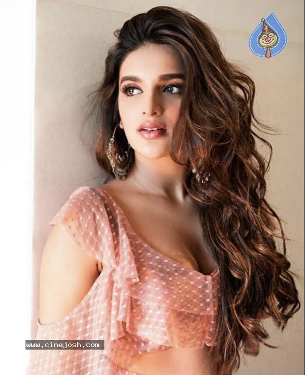 Nidhhi Agerwal Stills - 9 / 12 photos