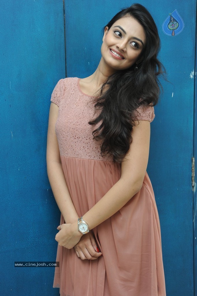 Nikitha Narayan New Gallery - 62 / 108 photos