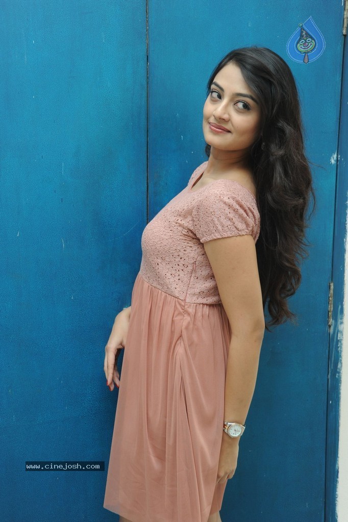 Nikitha Narayan New Gallery - 65 / 108 photos