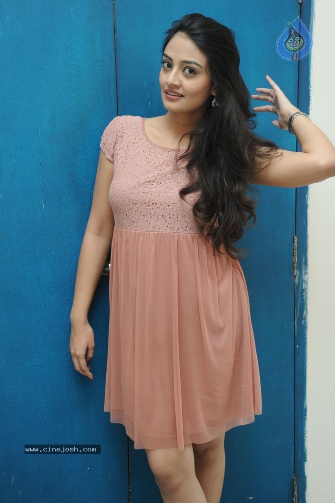 Nikitha Narayan New Gallery - 74 / 108 photos