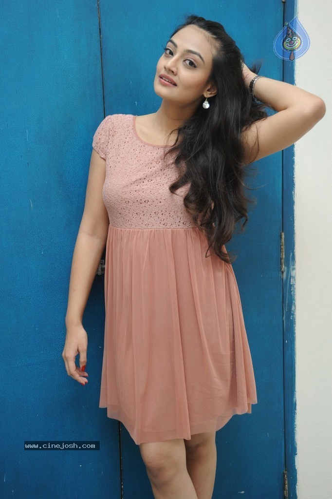 Nikitha Narayan New Gallery - 97 / 108 photos