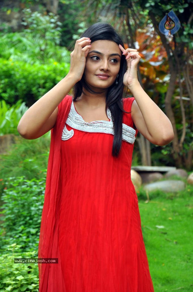 Nikitha Narayan Stills - 20 / 40 photos