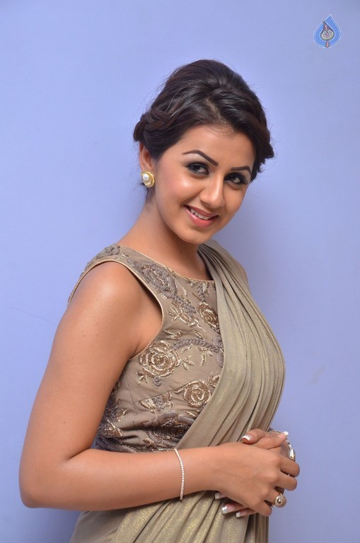 Nikki Galrani Photos - 4 / 40 photos