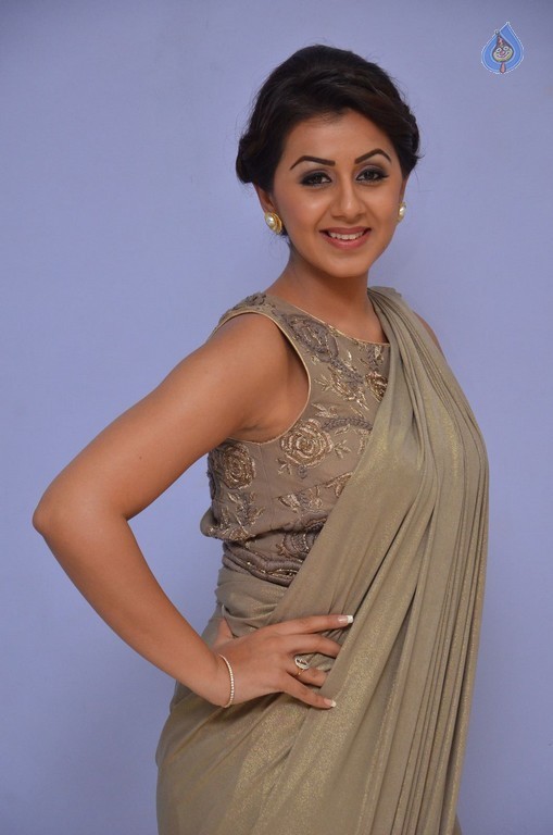 Nikki Galrani Photos - 11 / 40 photos