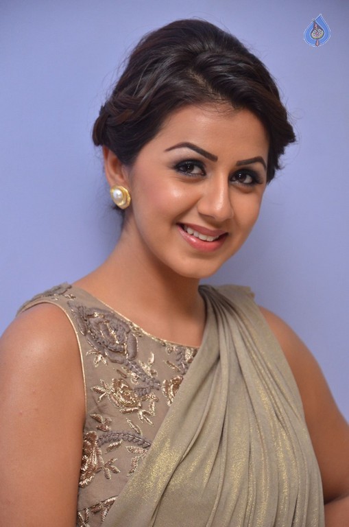 Nikki Galrani Photos - 31 / 40 photos