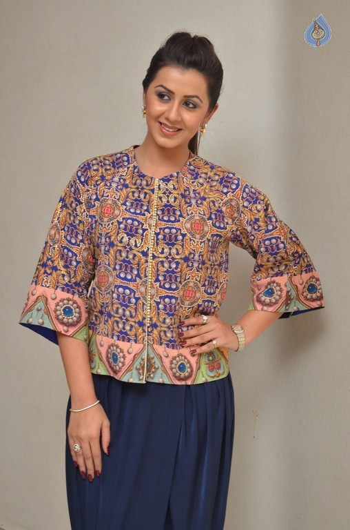 Nikki Galrani Pics - 4 / 29 photos