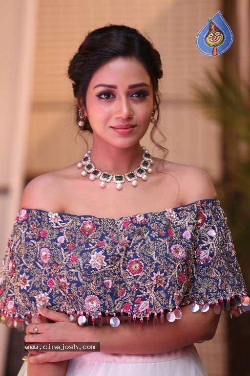 Nivetha Pethuraj Photos - 4 / 21 photos