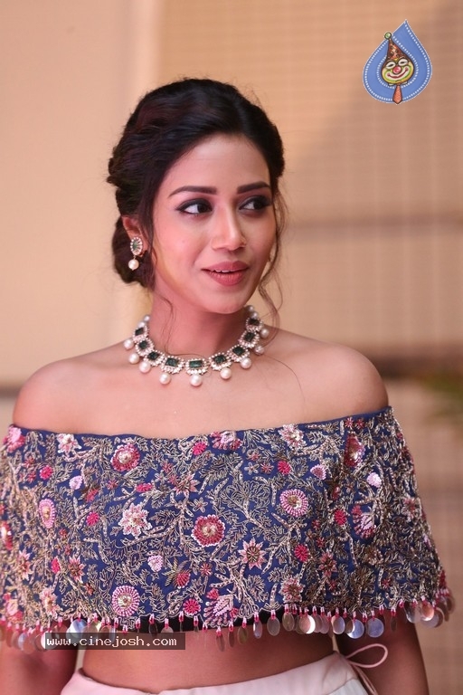 Nivetha Pethuraj Photos - 8 / 21 photos