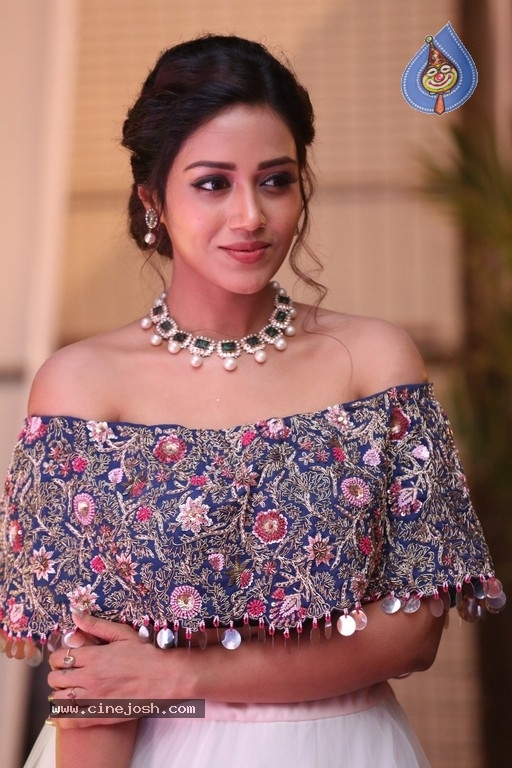 Nivetha Pethuraj Photos - 15 / 21 photos