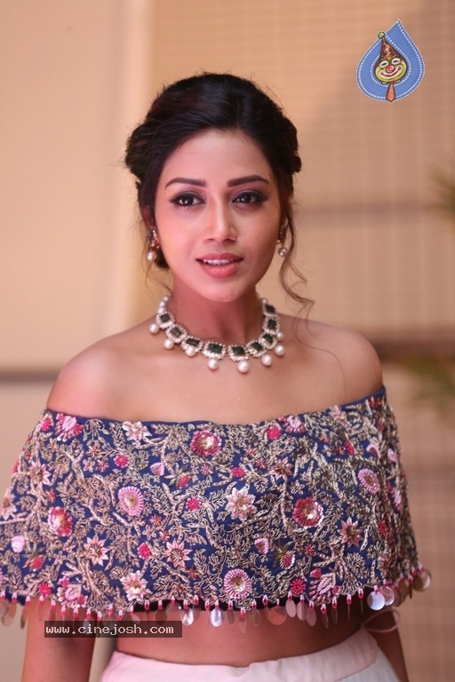 Nivetha Pethuraj Photos - 16 / 21 photos