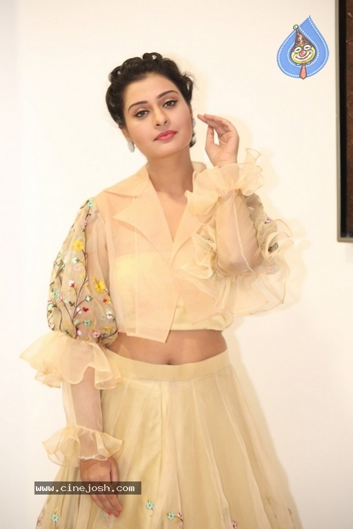 Payal Rajput Photos - 20 / 42 photos