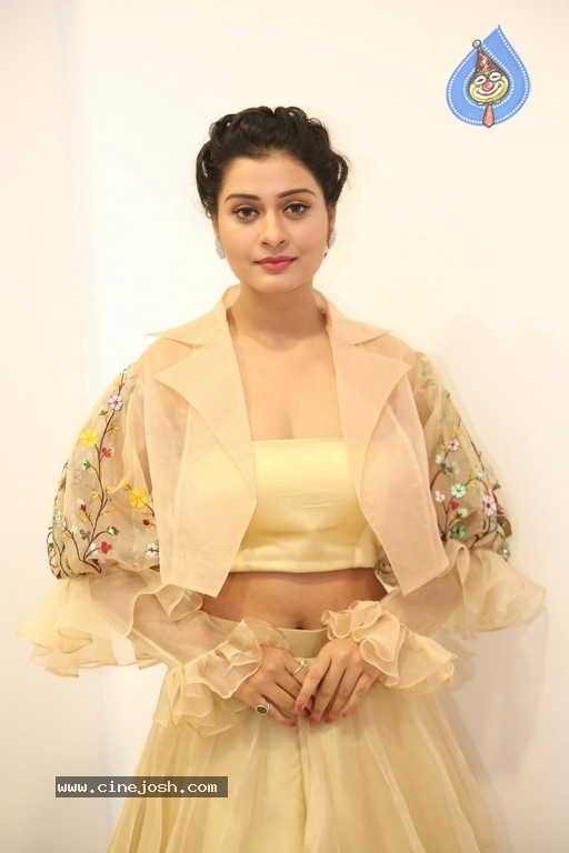 Payal Rajput Photos - 31 / 42 photos