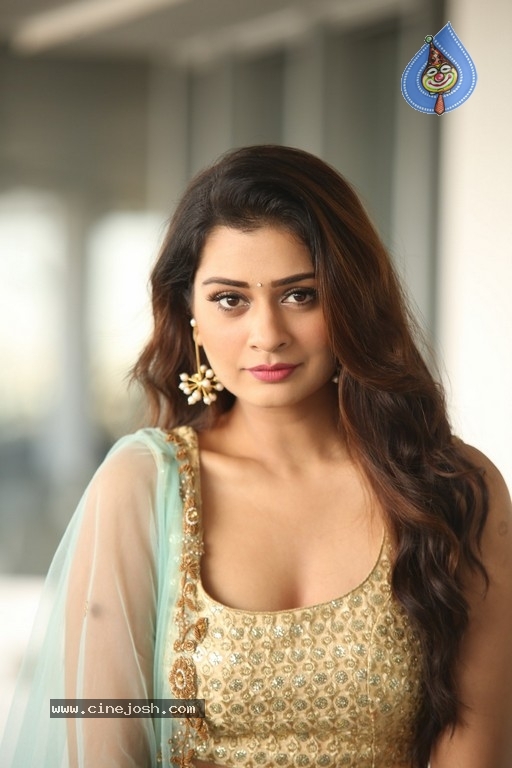 Payal Rajput Photos - 14 / 64 photos