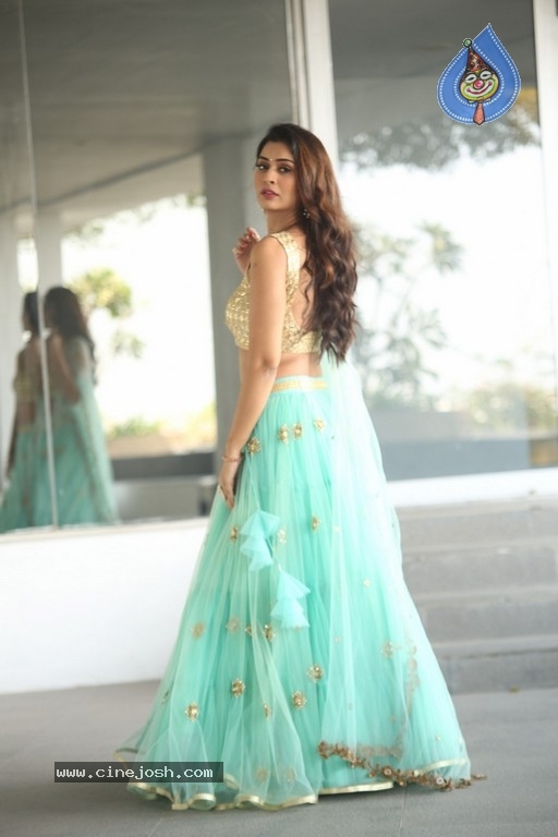 Payal Rajput Photos - 59 / 64 photos