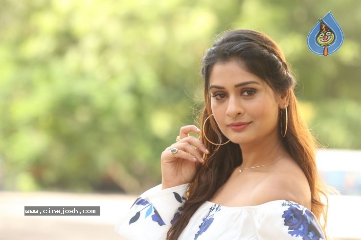 Payal Rajput Stills - 10 / 32 photos