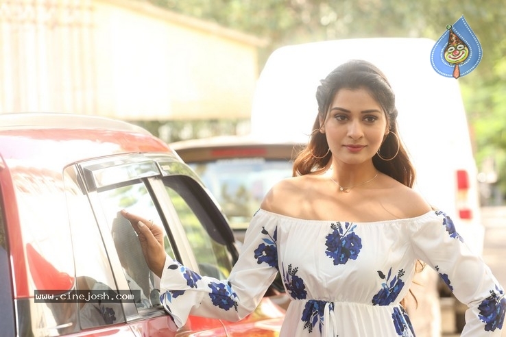 Payal Rajput Stills - 18 / 32 photos