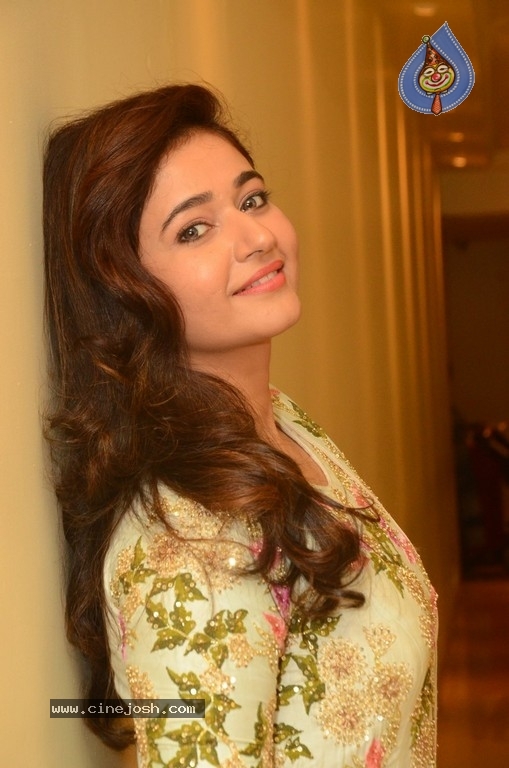 Poonam Bajwa Pics - 4 / 21 photos