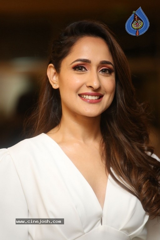 Pragya Jaiswal Photos - 13 / 21 photos