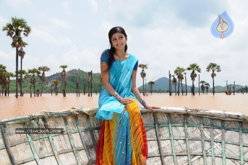 Pranitha New Stills - 38 / 42 photos