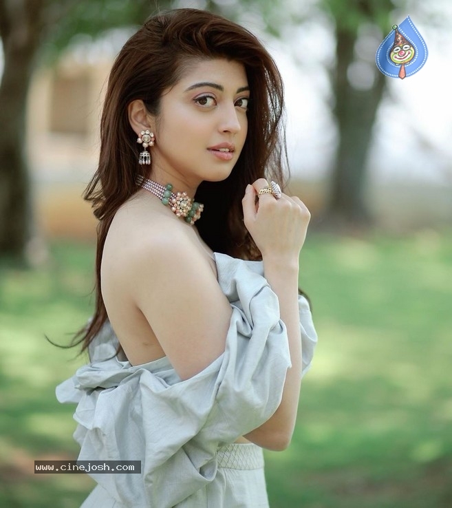 Pranitha Stills - 5 / 5 photos