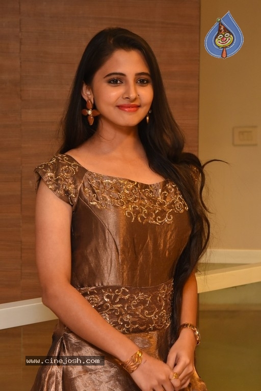 Preethi Asrani Photos - 5 / 13 photos