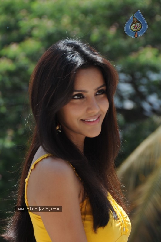 Priya Anand Photo Stills - 24 / 64 photos