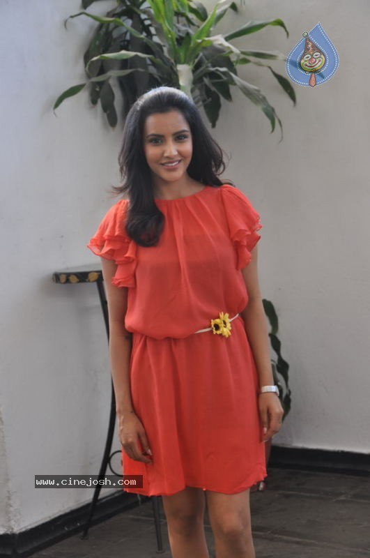 Priya Anand Photos - 17 / 53 photos